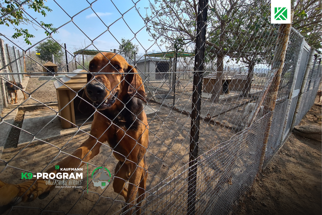 Investing in Africa’s Frontline Protectors – How Kaufmann’s K9 Support is Helping the SAWC Anti-Poaching Unit Do What They Do Best!