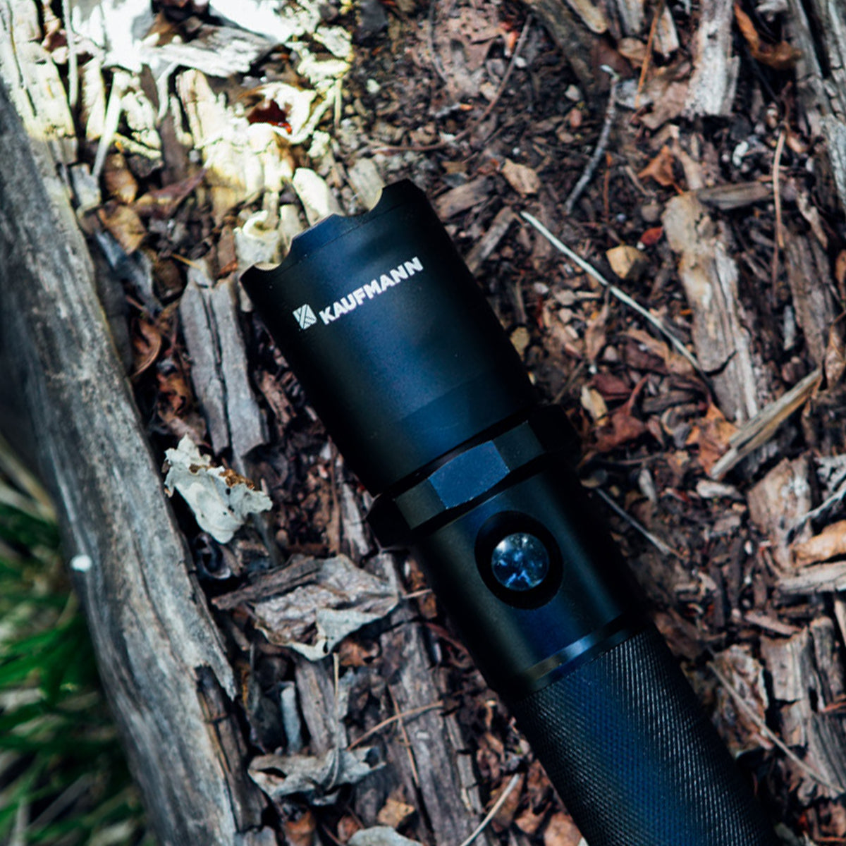 Kaufmann | Flashlights