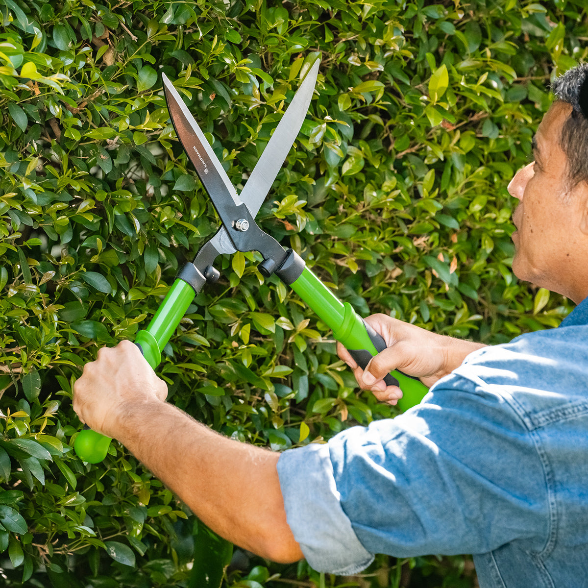 Pruning Tools