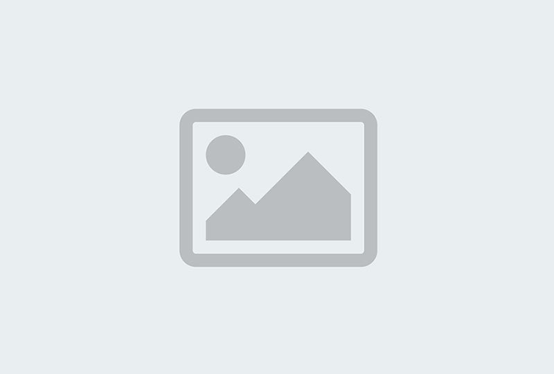 KAUFMANN PIPE WRENCH RIDGIT TYPE 250MM